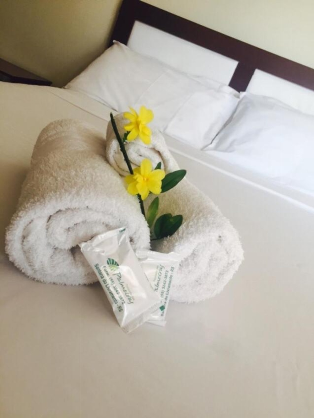 Hotel Palmeiras Image 10