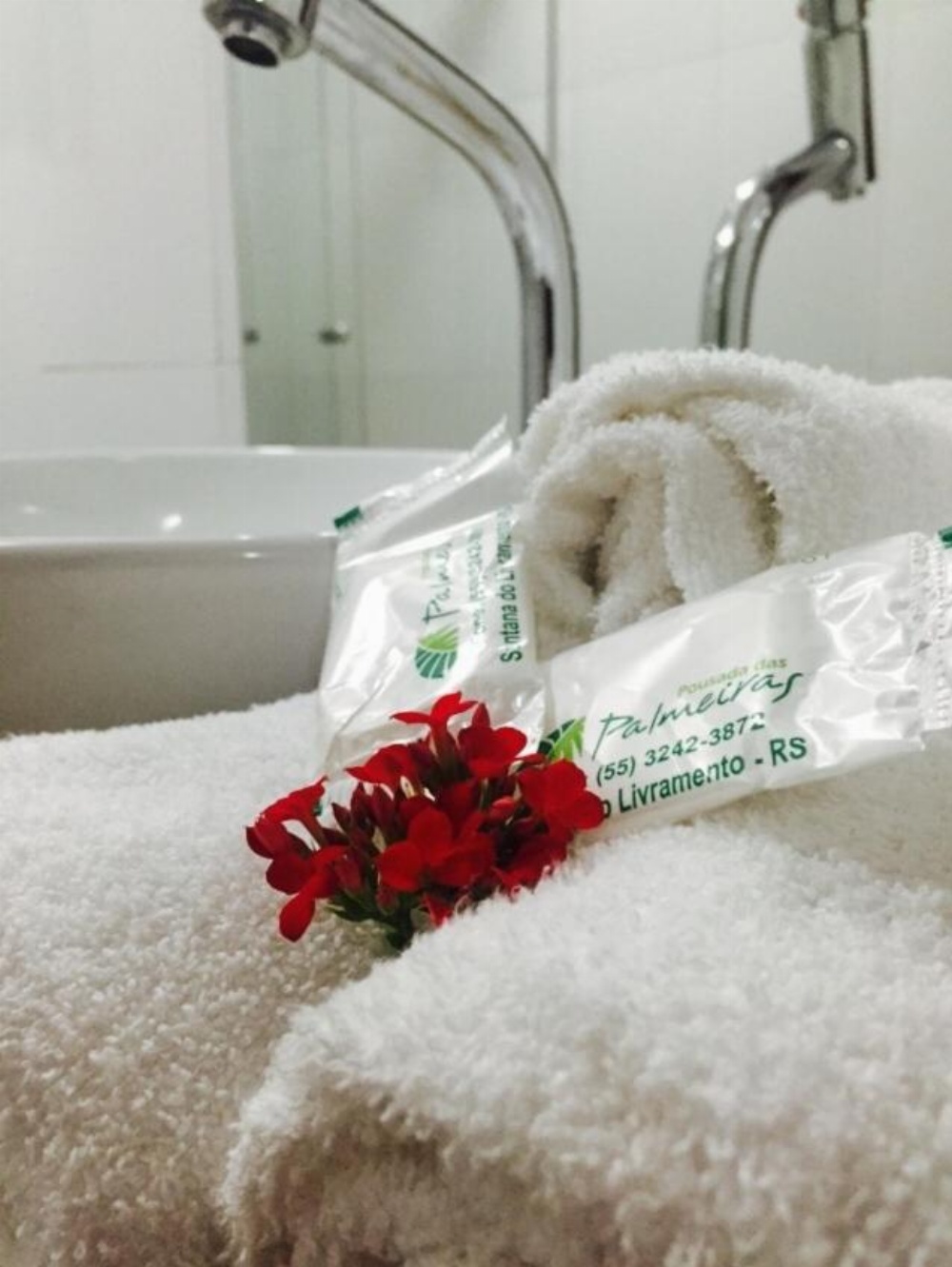 Hotel Palmeiras Image 11